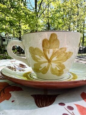Stangl Pottery Paisley Hand Painted Tea Cup Saucer Set Ivory Green Brown